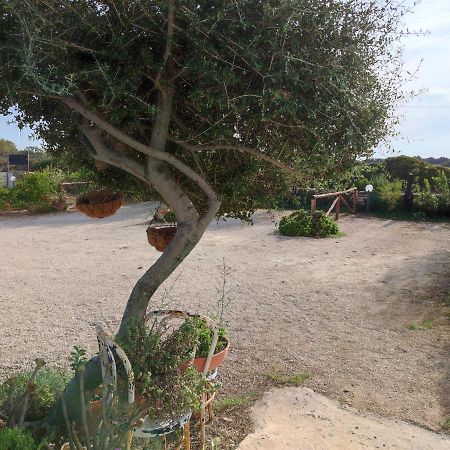Casa Eroma Bed and Breakfast Cuili Issi Eksteriør billede
